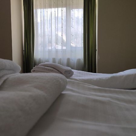 Hotel Iri Buşteni エクステリア 写真