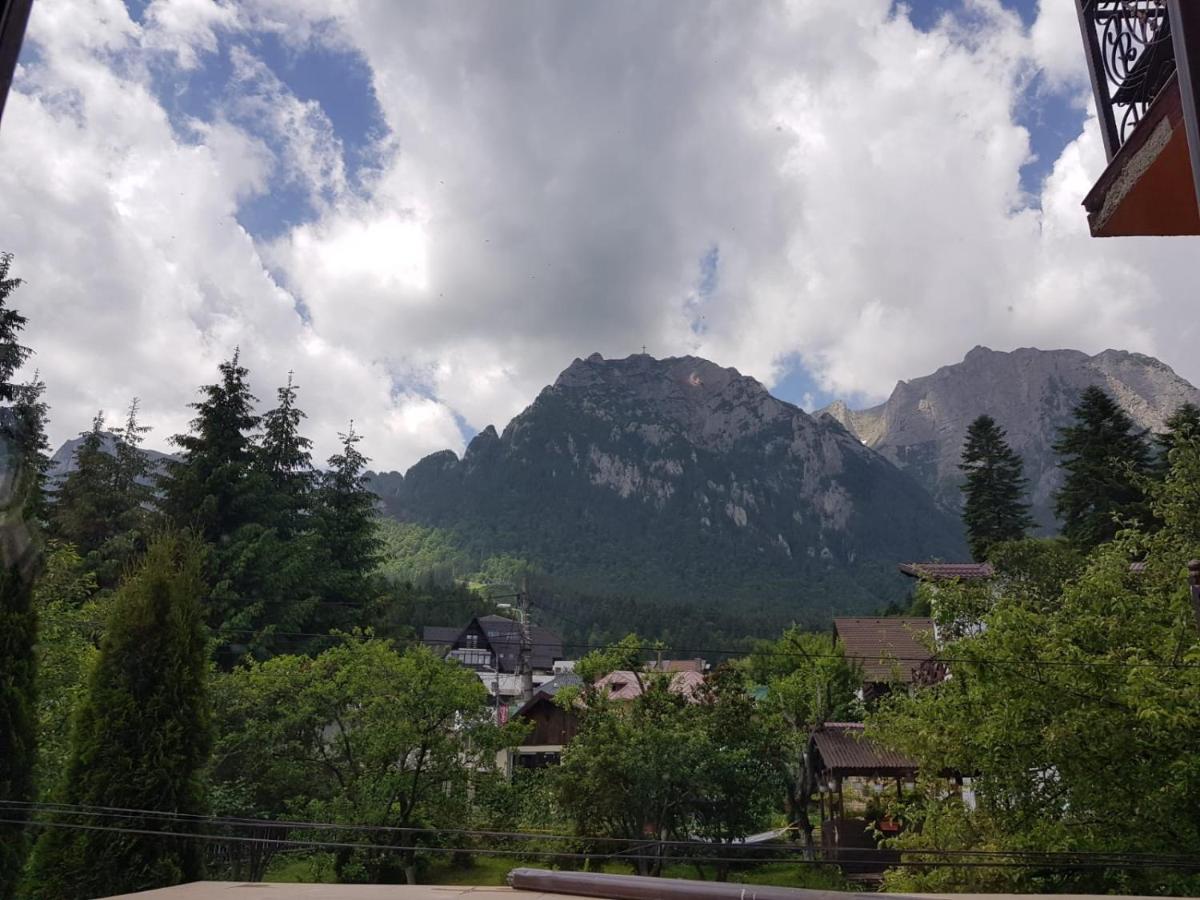 Hotel Iri Buşteni エクステリア 写真